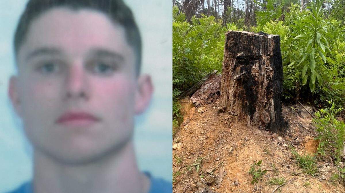Connor McNeil, 19, of Irmo, jumped up on this stump at Harbison State Forest on July 11. 2025, to escape two pit bull-type dogs who were trying to kill him. He fought them off for 30 minutes until help arrived.