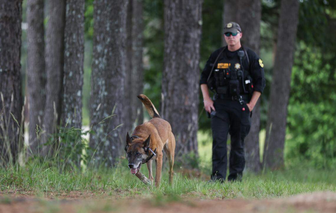 Sgt. Josh Newsom of the Richland County Sheriff’s Department works with his dog Bali during a K-9 training demonstration at the South Carolina Criminal Justice Academy in Columbia on Wednesday, May 22, 2024.