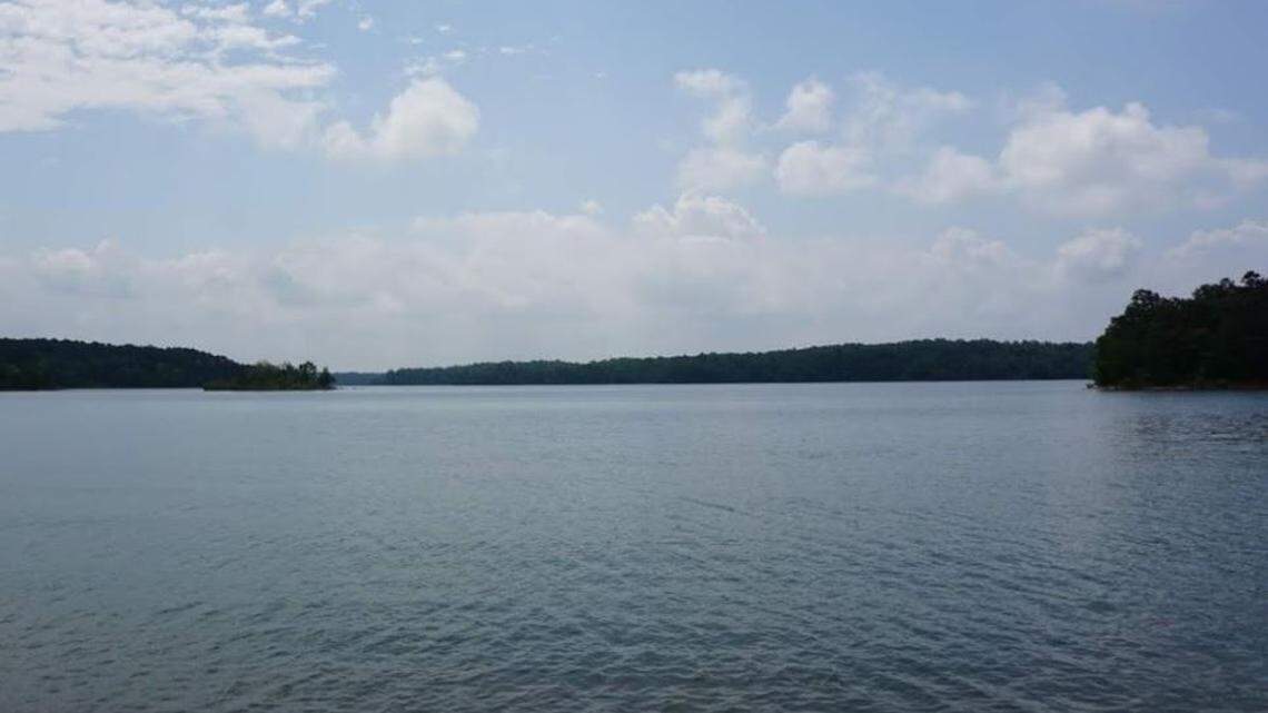 The children were abandoned in an island on Lake Hartwell, officials said.
