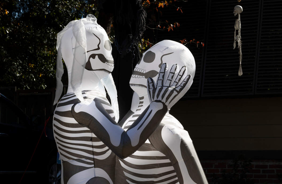 Nathaniel Bell and his fiancé Sarah Kelley are in trouble with Columbia code enforcement about their halloween decorations. The citation to remove the decorations or be fined or face jail time declares the embracing skeletons, that they purchased on Amazon, as lewd and a common nuisance. This photograph shows the top half of the skeletons. Thursday Oct. 27, 2022.