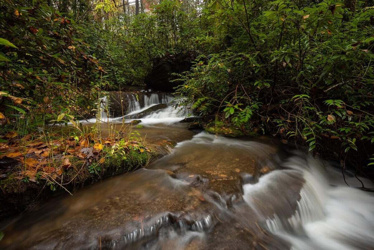 This creek has been restored as a trout stream. It is below the site of a legendary bar, Burrells Place, a landmark for mountain travelers in South Carolina.