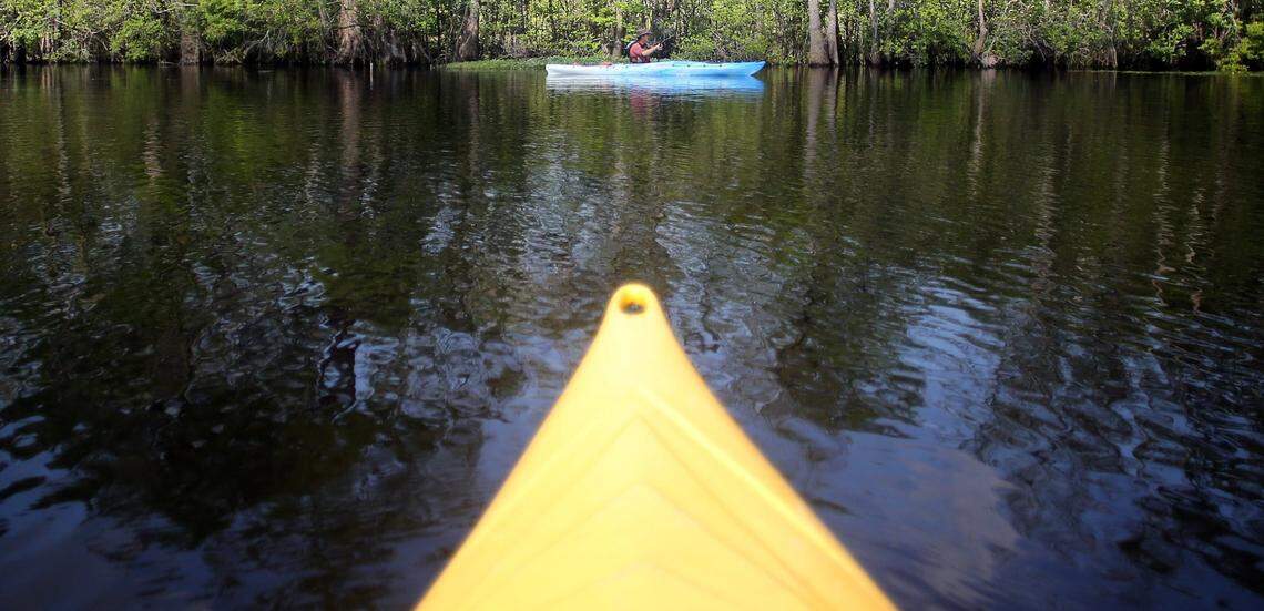 Paddlers on the Waccamaw River outside of Conway, S.C..