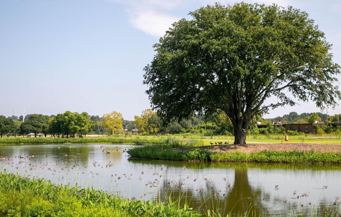 A 20-acre public park with walking trails, a dog park and a 2-acre pond is nearly complete at the BullStreet District. 8/10/20