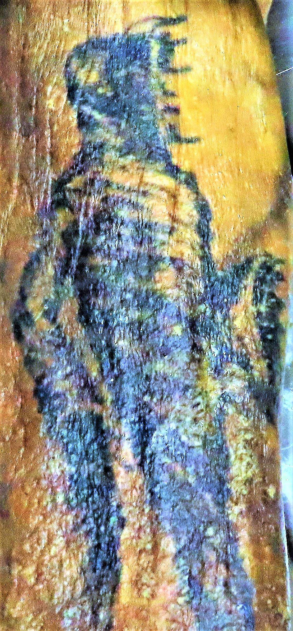 The coroner’s office needs help identifying a man whose body was found in the woods behind a Midlands grocery store, and released a photo of a tattoo the right forearm.