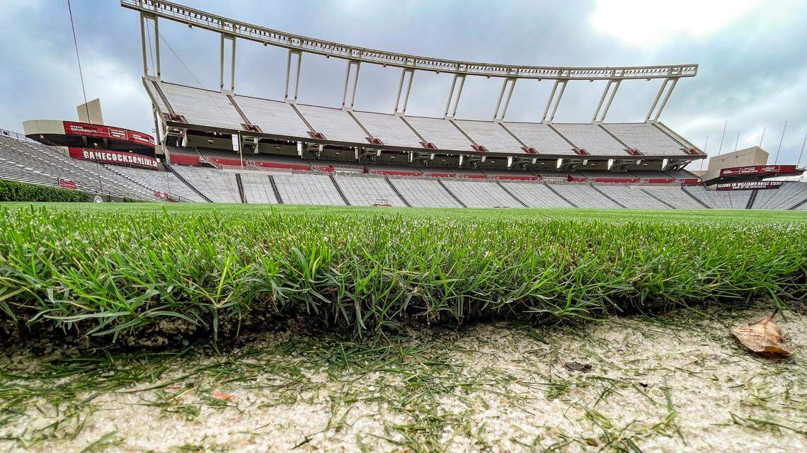 About 2,000-square-feet of Northbridge Bermuda grass needed to be added to the playing field at Williams-Brice Stadium to accommodate the Liverpool vs. Manchester United soccer match.