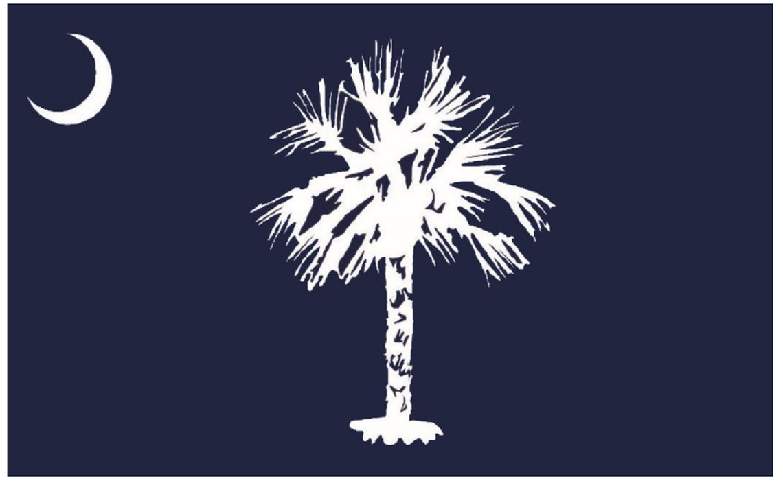 The South Carolina flag design proposed by the South Carolina State Flag Study Committee.
