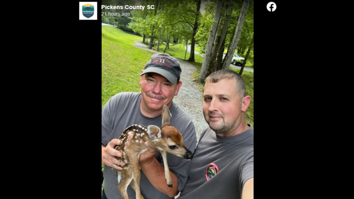 A picture shows South Carolina firefighters with the adorable fawn.
