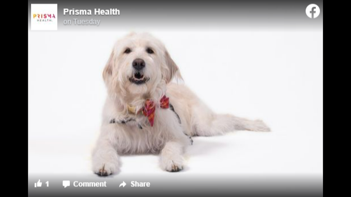 Vivi died months after she was diagnosed with cancer, according to a South Carolina hospital system.