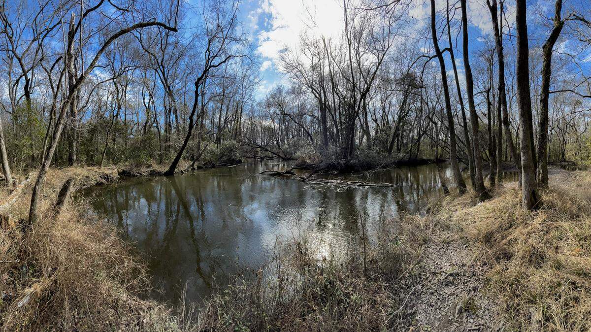 The state Department of Natural Resources manages the 1,300-acre Congaree Creek Heritage Preserve. The DNR and land protection groups worked to double the size of the Cayce preserve three years ago. Obtaining land for the expansion was part of multiple DNR habitat protection efforts that occurred while Norman Pulliam served as agency board chair.