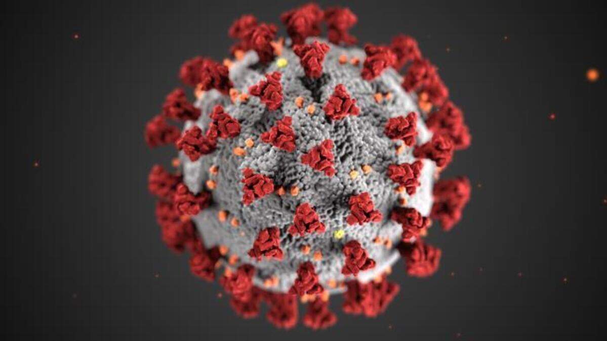 This illustration, created at the Centers for Disease Control and Prevention (CDC), reveals ultrastructural morphology exhibited by coronaviruses. Note the spikes that adorn the outer surface of the virus, which impart the look of a corona surrounding the virion, when viewed electron microscopically.