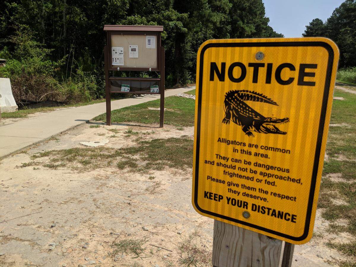Signs warn of alligators on the Timmerman Trail, part of the Cayce Riverwalk
