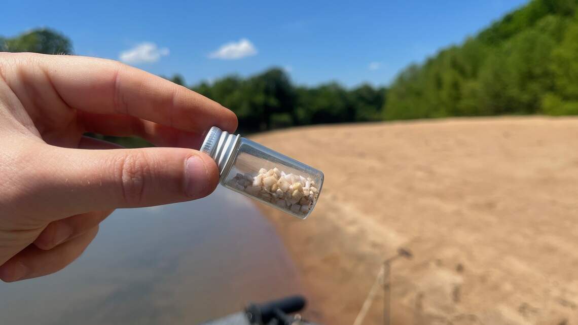 Hazardous plastic pellets drift miles downstream to Congaree National Park
