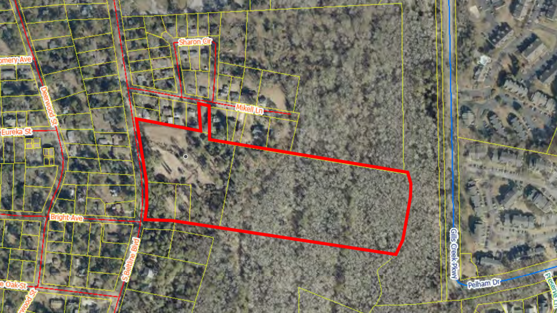 Will plan for 19 homes on S. Beltline bring ‘more problems’? Here’s what neighbors say
