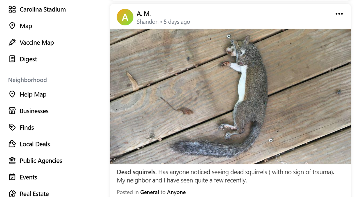 A screen shot from a Nextdoor post of a deceased squirrel with a mysterious cause of death.