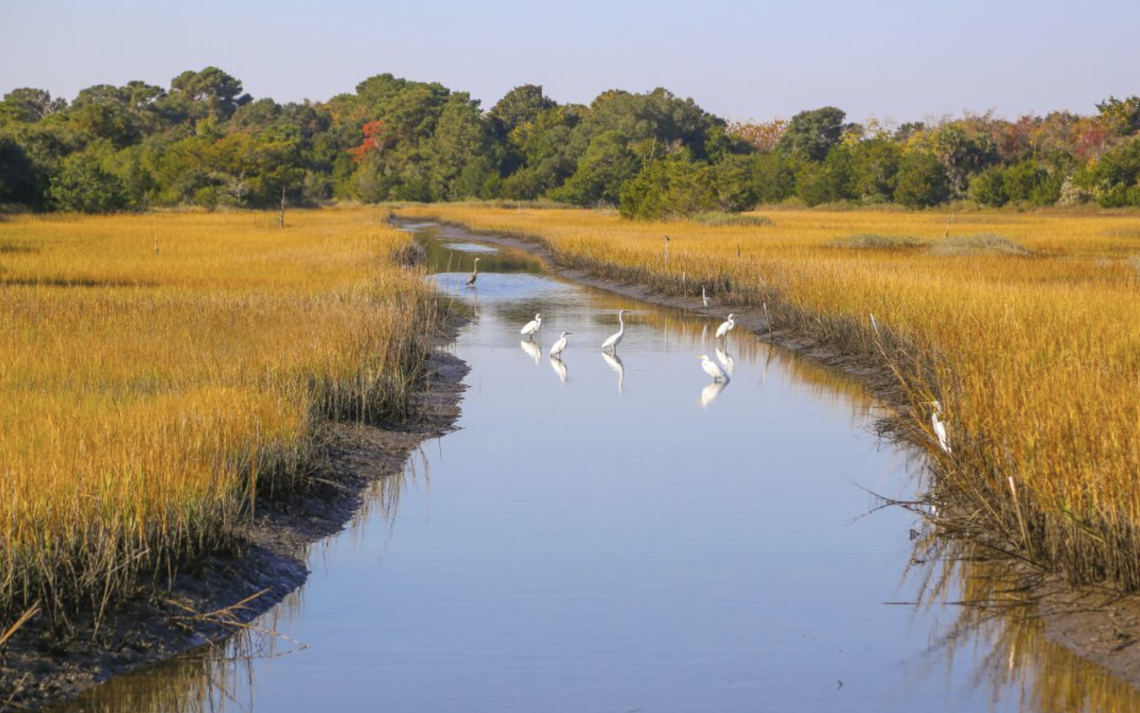 Paddling the Kiawah River or the island’s creeks is among many activities on the island,