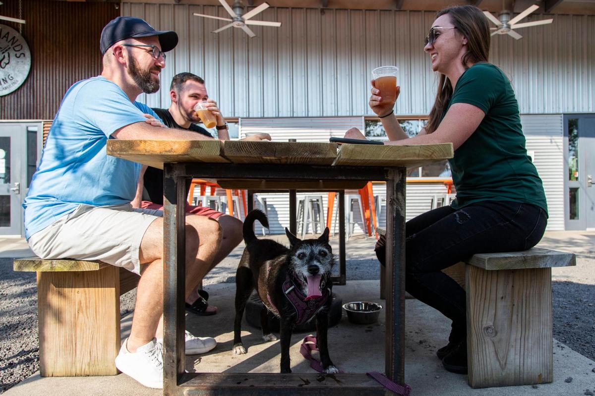 Blake Amich, Dylan Tippins and Allison Amick have a beer with Allison’s dog Emma at Steel Hands Brewing in Cayce, South Carolina on Friday, June 18, 2021. Dogs are allowed in the outdoor seating areas.