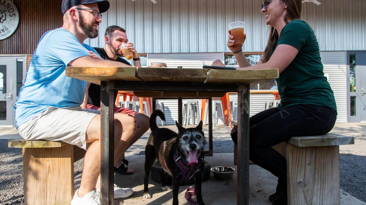 Blake Amich, Dylan Tippins and Allison Amick have a beer with Allison’s dog Emma at Steel Hands Brewing in Cayce, South Carolina on Friday, June 18, 2021. Dogs are allowed in the outdoor seating areas.