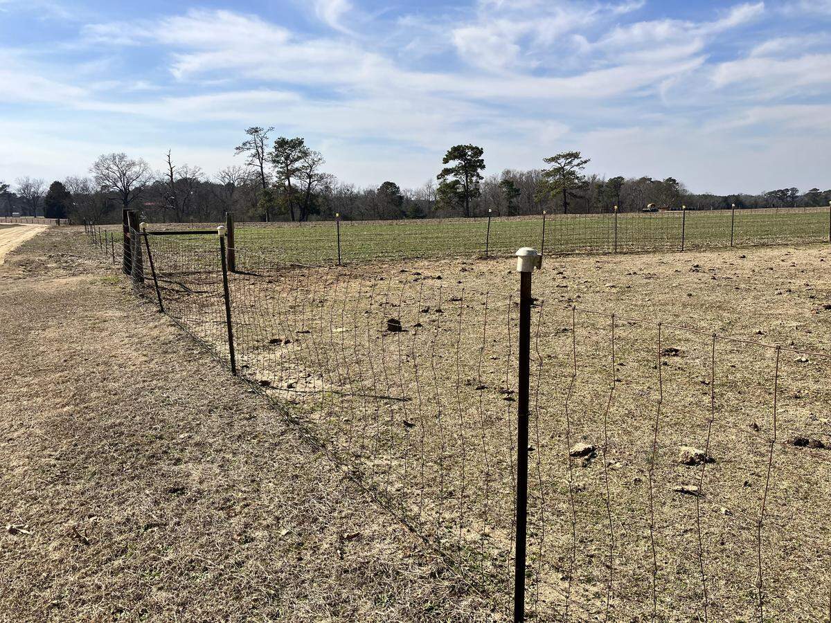 This former crop field in Darlington County was fertilized with waste sludge from an industrial plant in the 1990s. But the sludge later was determined to be toxic, despite initial assurances it was safe. Wells adjacent to the field are polluted with high levels of forever chemicals. Testing by Yale University researchers has found chemicals still are showing up in the soil. (photo taken Feb. 10, 2026)