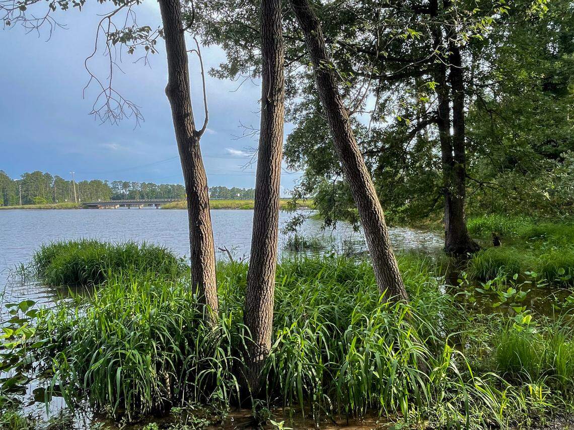 at Dreher Island State Park on Lake Murray on June 15, 2025.