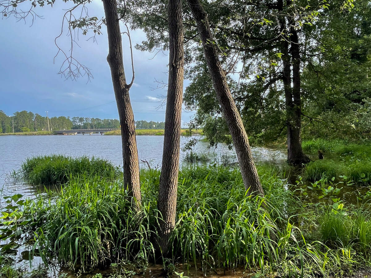 at Dreher Island State Park on Lake Murray on June 15, 2025.