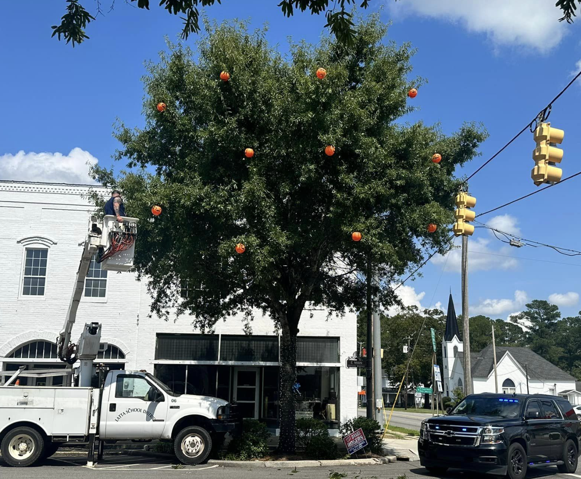 Pumpkins are “growing” on trees in downtown Latta.