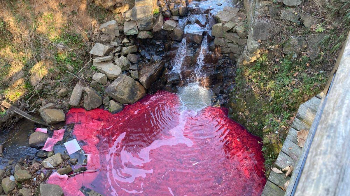 An apparent fuel spill turned the water bright red in a creek that runs through downtown Columbia, S.C., and feeds the Congaree River. An odor of petroleum was strong near the creek Friday afternoon, Dec. 3.