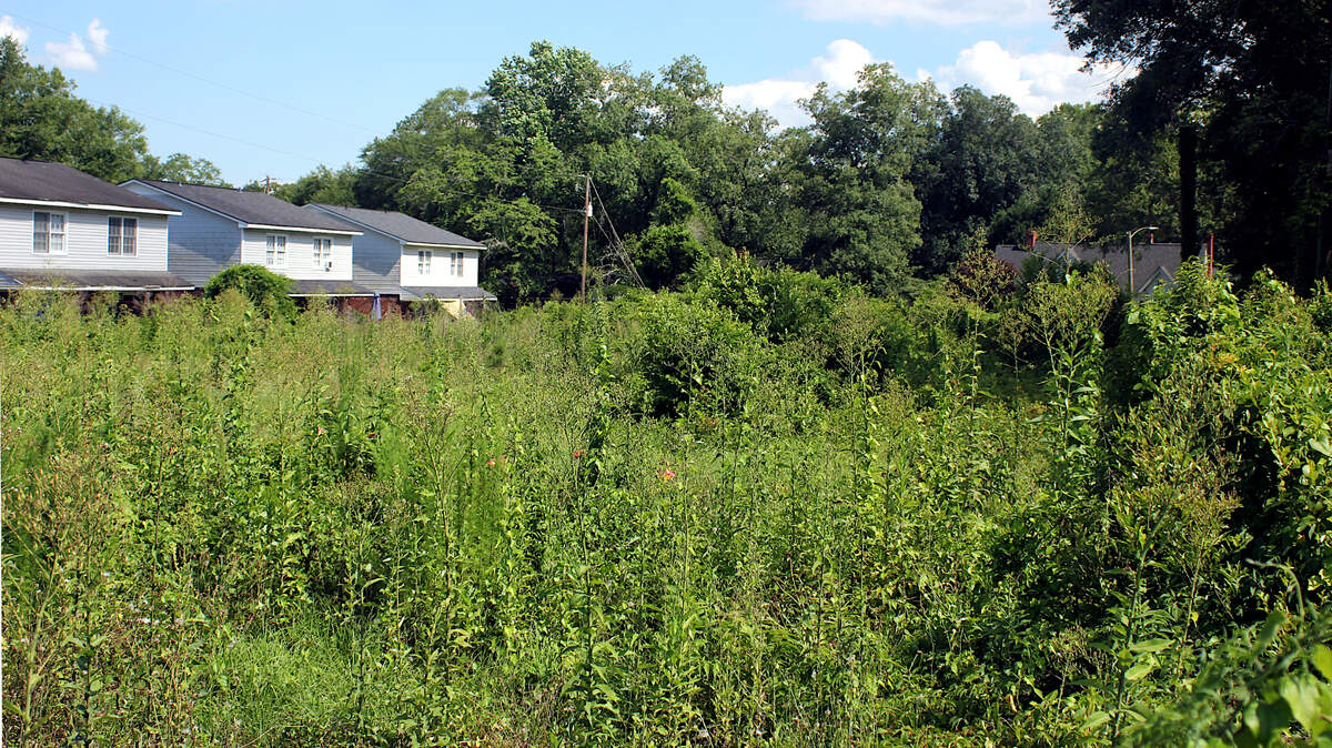 A vacant lot along Cromwell Street in West Columbia is set to be the site for 27 new homes in one of the city’s core neighborhoods. June 7, 2024.