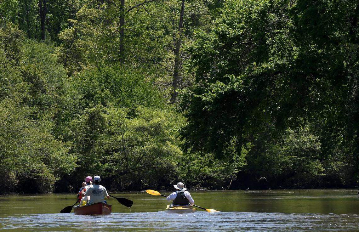 Paddlers enjoy the gentle breezes and steady flow on the Neuse River near Raleigh,N.C., Tuesday, May 1, 2018.