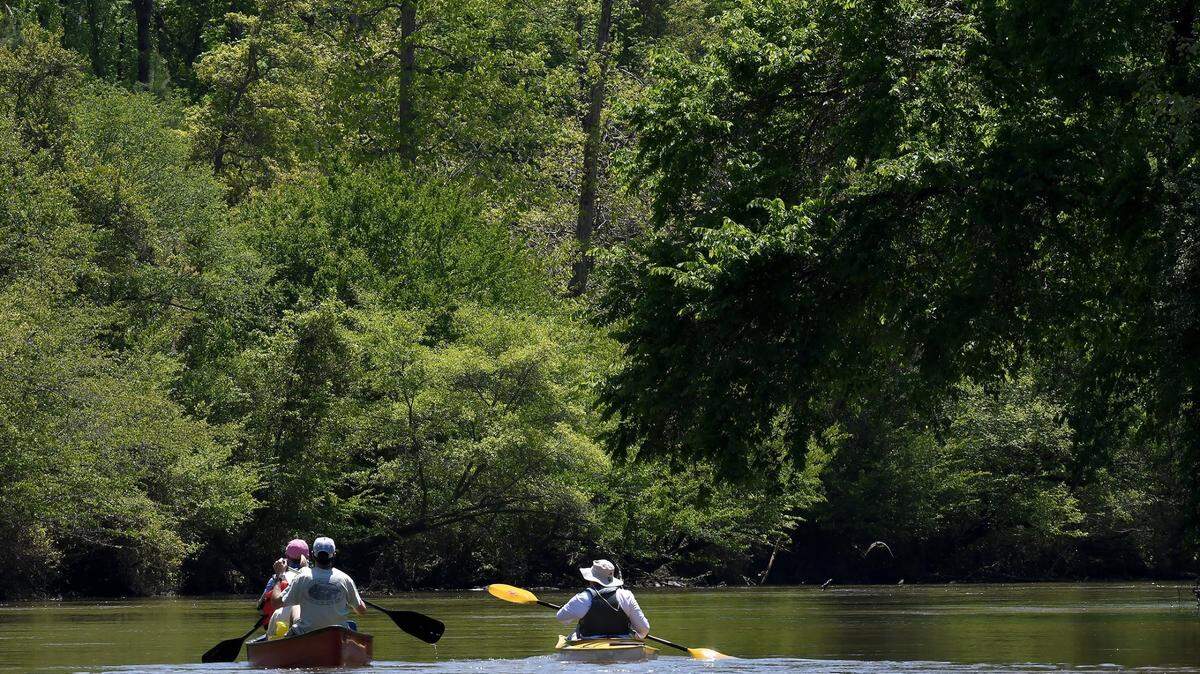 Paddlers enjoy the gentle breezes and steady flow on the Neuse River.