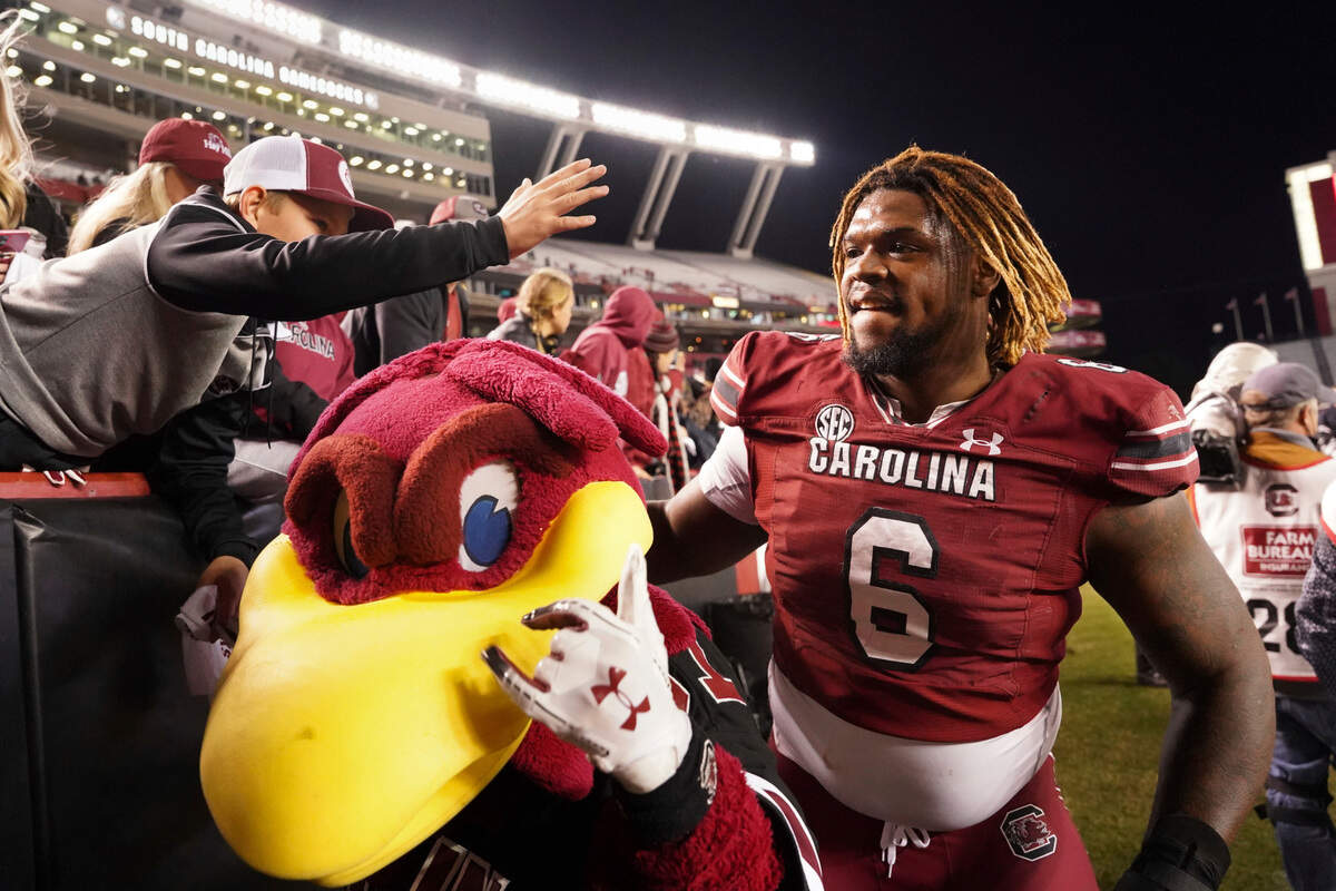 South Carolina defensive lineman Zacch Pickens and Cocky celebrate a win with fans after an NCAA college football game against Florida Saturday, Nov. 6, 2021, in Columbia, S.C. South Carolina won 40-17.