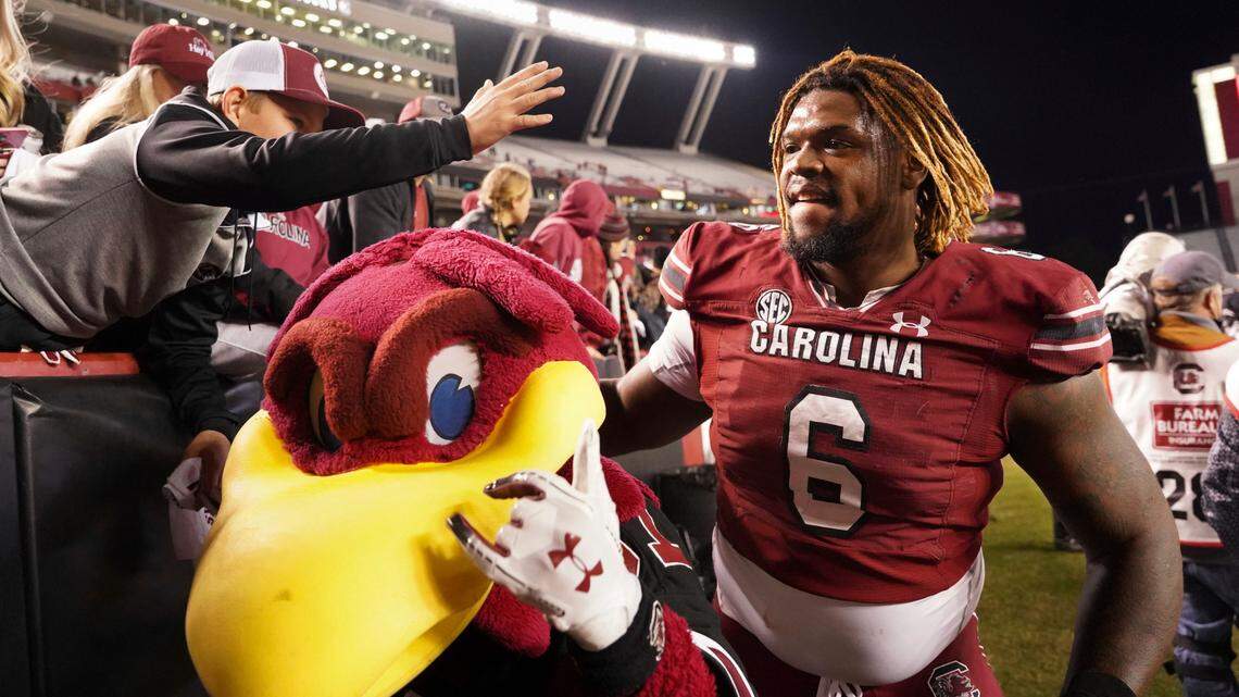 South Carolina defensive lineman Zacch Pickens and Cocky celebrate a win with fans after an NCAA college football game against Florida Saturday, Nov. 6, 2021, in Columbia, S.C. South Carolina won 40-17.