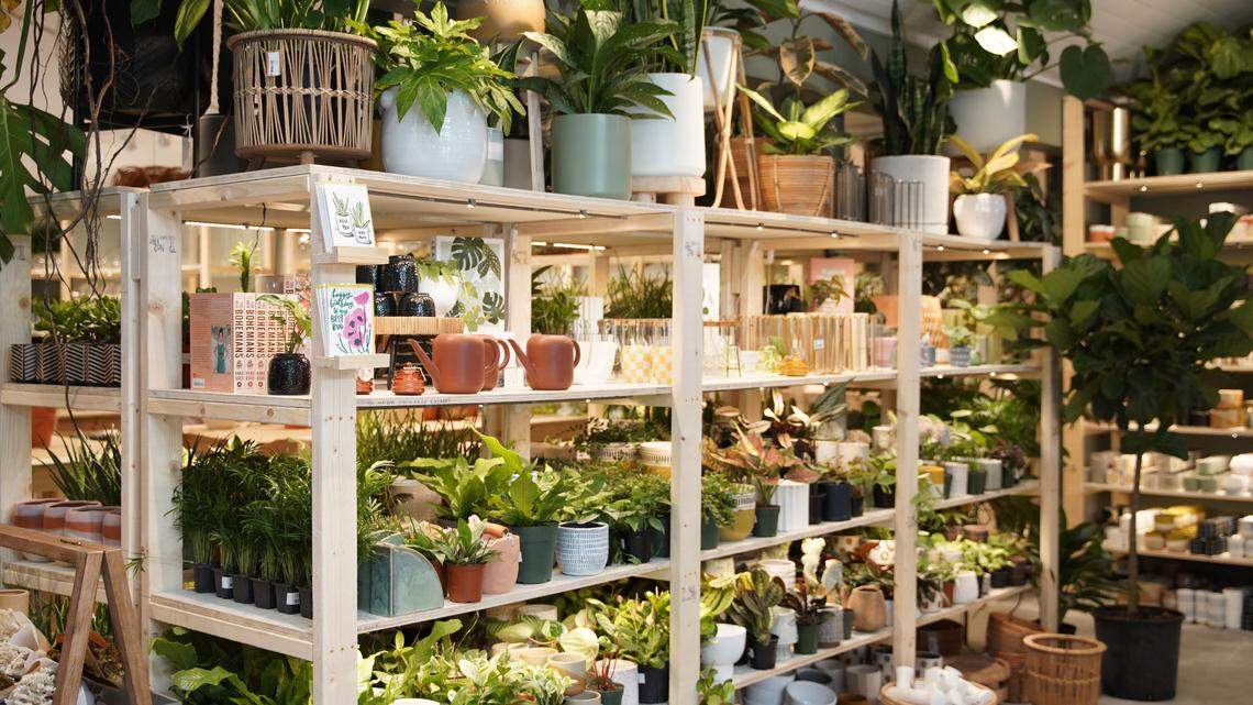 PlantHouse has a store in Charleston.