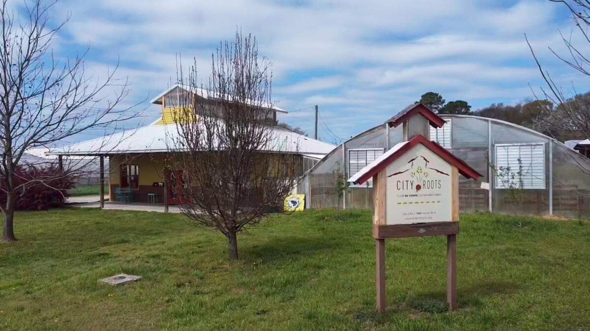 The City Roots farm in Columbia’s Rosewood neighborhood.