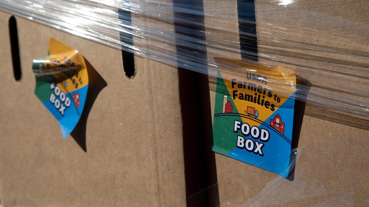People waited in line for more than two hours to receive food at Harvest Hope Food Bank in Columbia on Monday, Nov. 22, 2020.