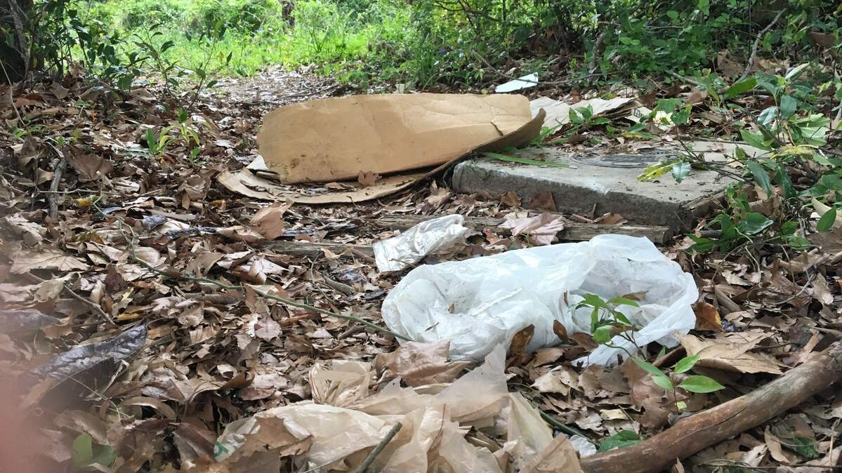 Plastic bags are a major component of litter. This bag was lying on the ground near Capital City Stadium in Columbia in April 2018