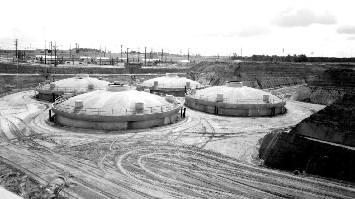 Radioactive wasp nests spark demand for answers at SC’s Savannah River Site