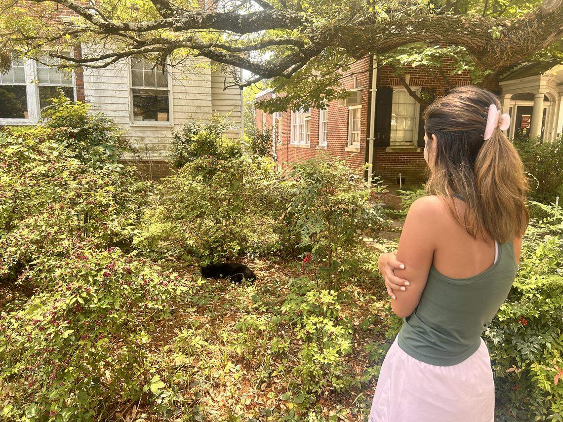 Isabella admires Edmund as he soaks in the sun at his usual napping spot. 