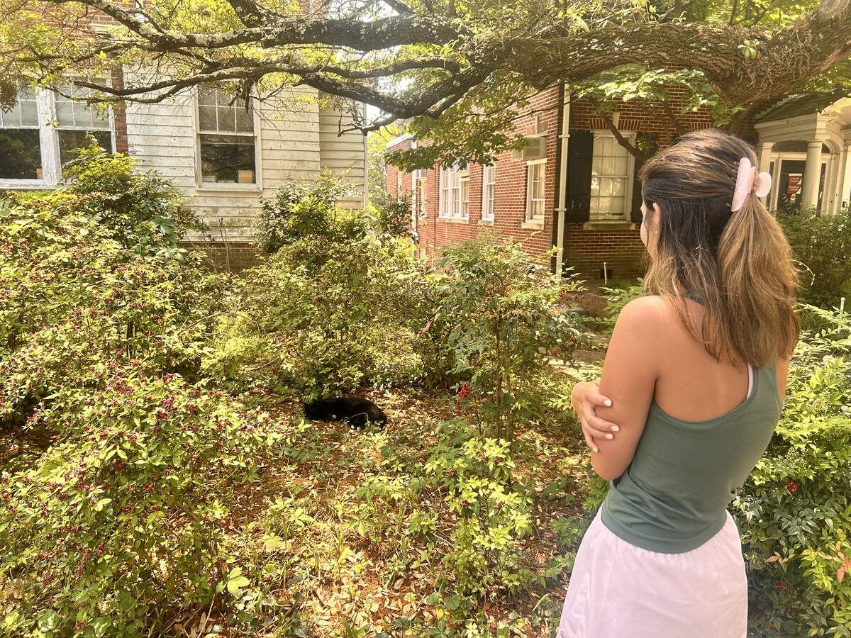 Isabella admires Edmund as he soaks in the sun at his usual napping spot.