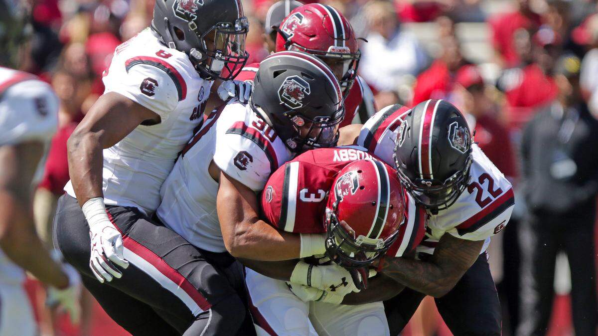 South Carolina tight end KC Crosby catches a pass Saturday during the spring game at Williams-Brice Stadium.