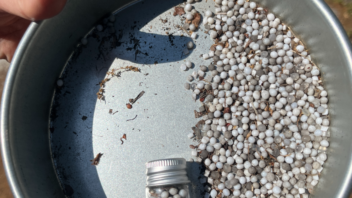 Plastic pellets called nurdles are polluting waterways around Columbia and Charleston, raising questions about their impacts on fish and water quality.