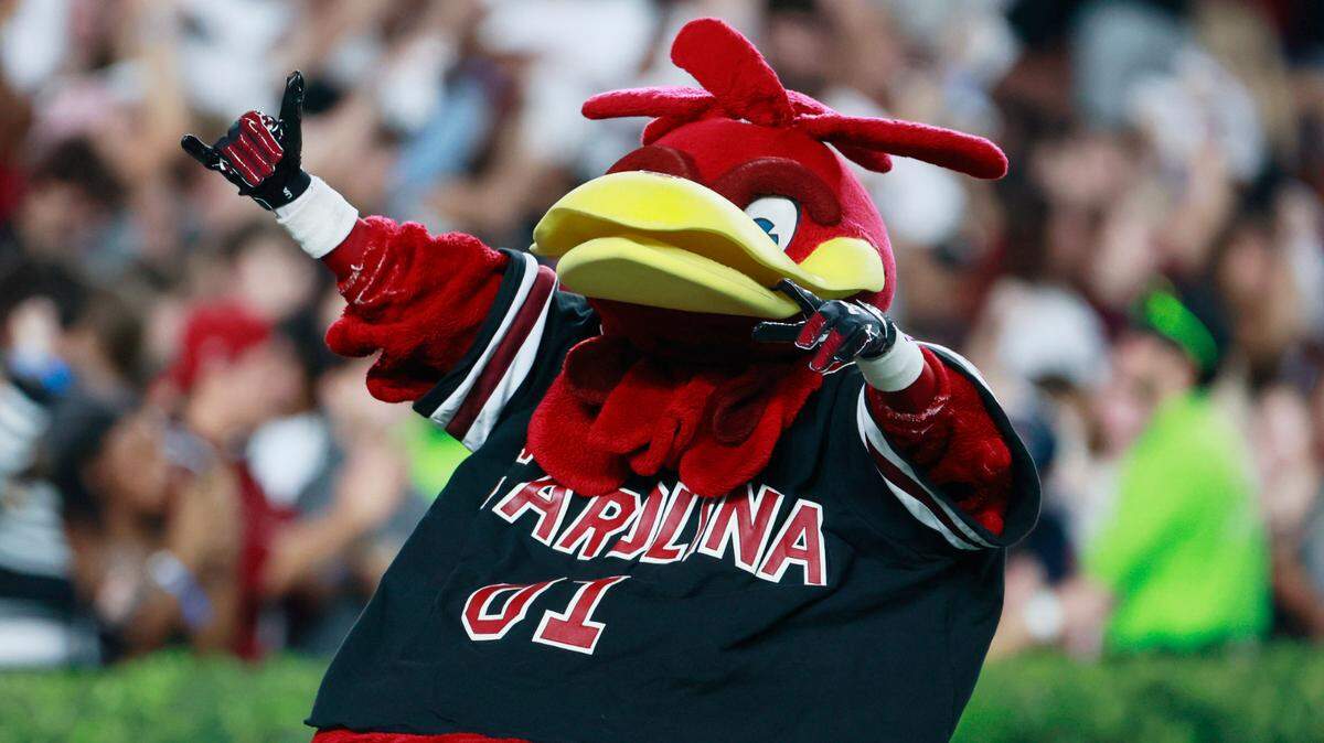 South Carolina takes the field to play Texas A&M at Williams-Brice Stadium on Saturday, November 2, 2024.