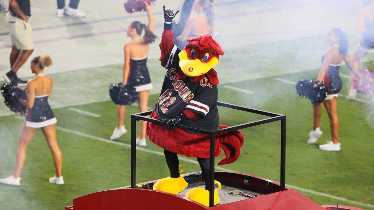 Cocky, the University of South Carolina Gamecocks mascot, emerges from the roof of a train before the team plays Vanderbilt at Williams-Brice Stadium on Saturday, September 13, 2025.