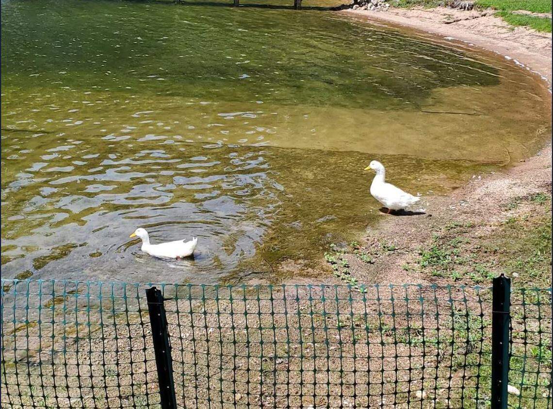 A screen grab from a Vrbo listing.