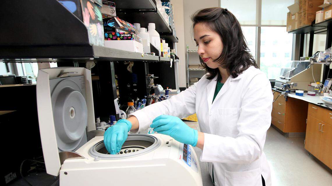 Why were MUSC researchers giving rats cocaine? For science, of course