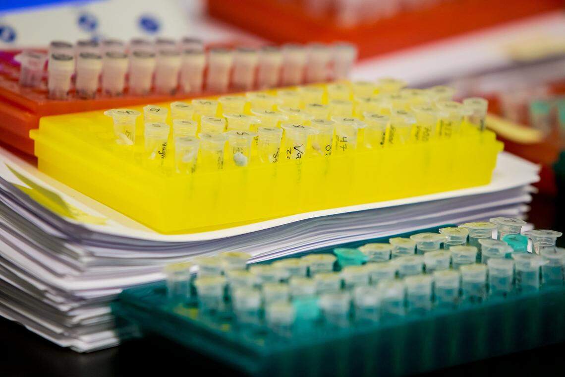 DNA samples from sexual assault cases wait to be processed at the Richland County Sheriff’s Department DNA Lab. 