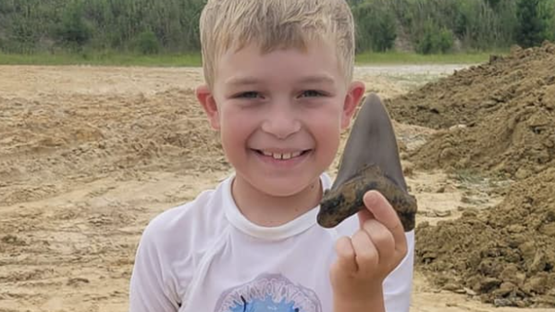 Riley Gracely, 8, found a huge fossilized tooth from the long-extinct angustiden shark species, 22 million to 28 million years old