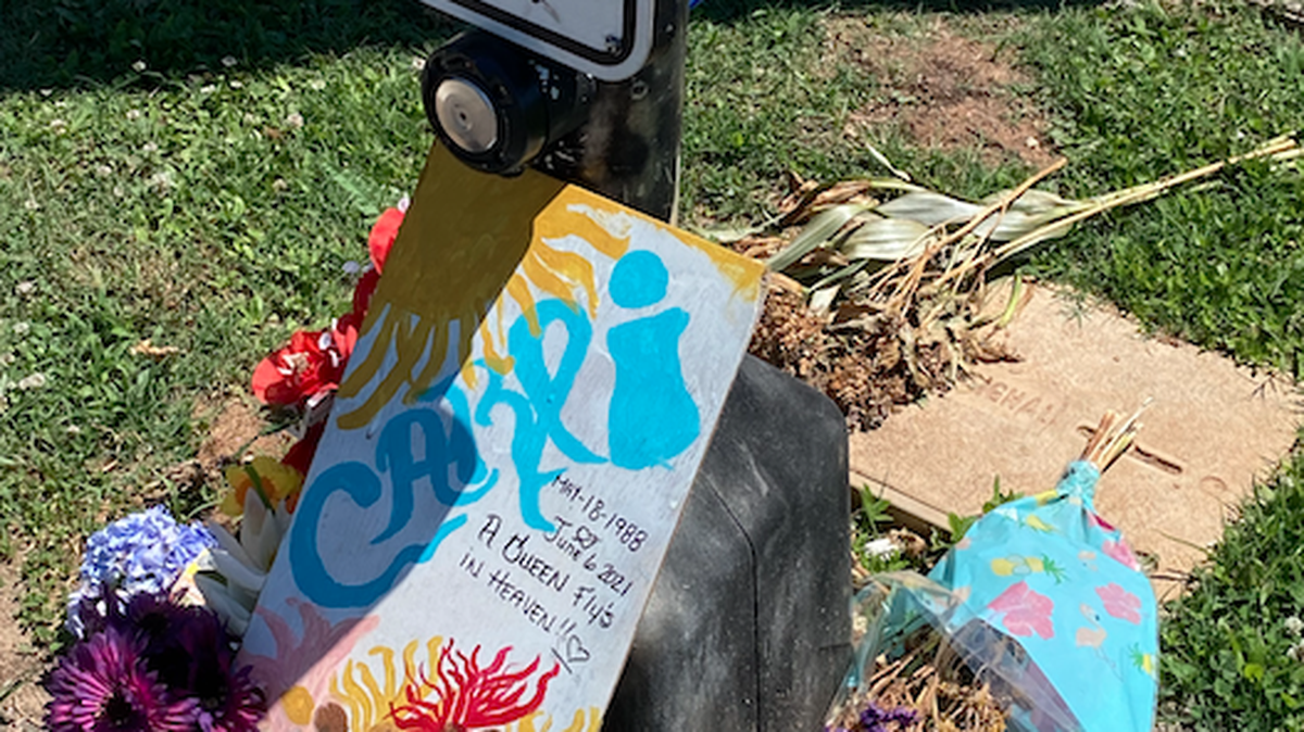 Flowers and a sign honor the life of Carli Soukup at the intersection where she was killed by a hit and run driver in Greenville.
