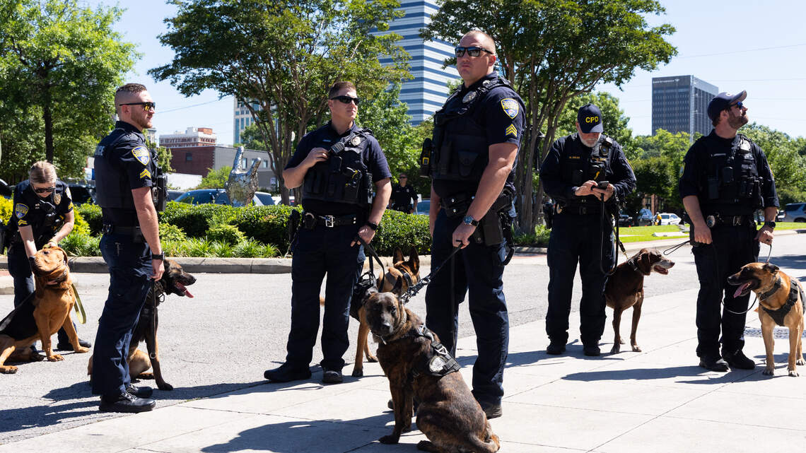 ‘When you lose one, you lose a piece of you’ SC ups penalties for harming police dogs