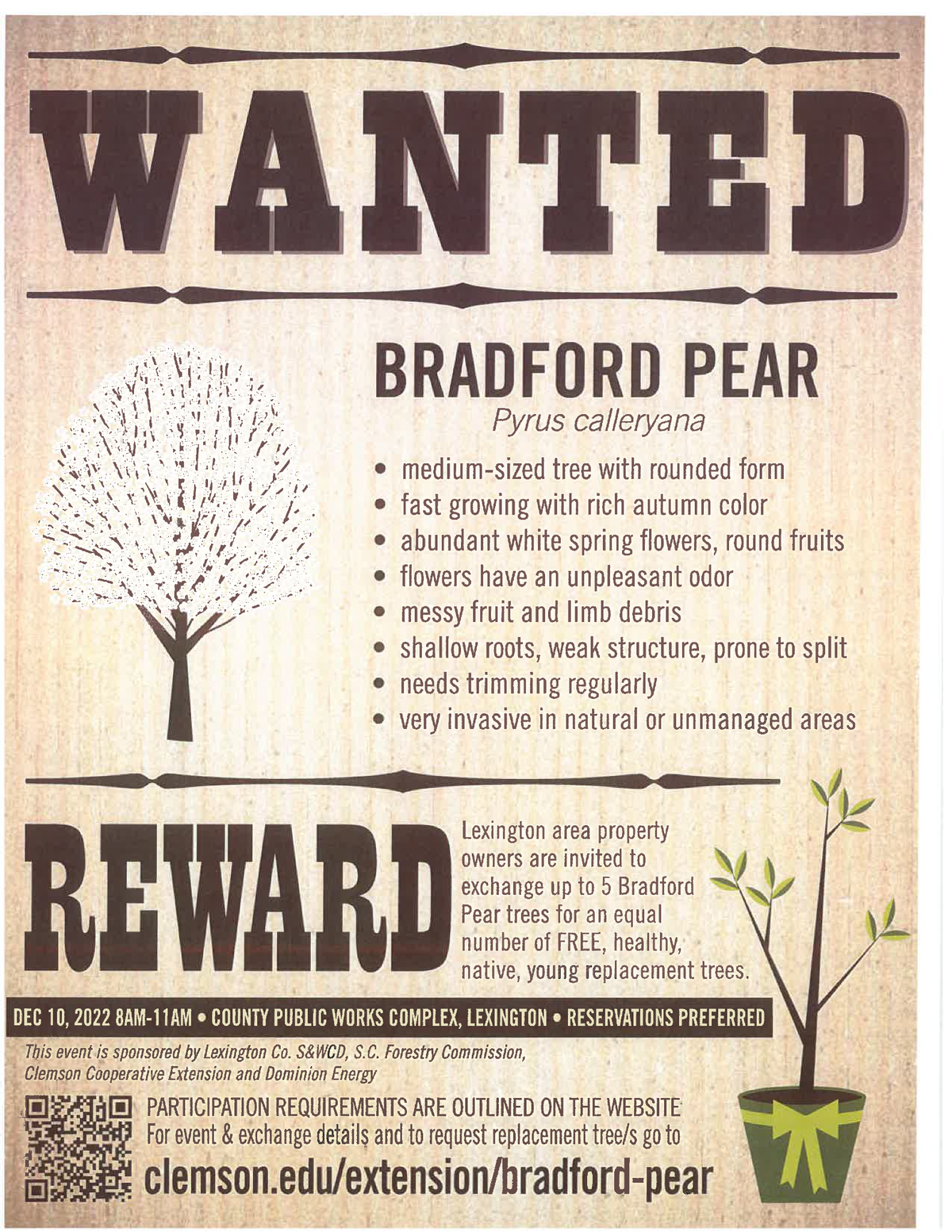 A “wanted” poster for the Bradford pear bounty program of South Carolina’s Clemson Extension Service. A free new tree will be provided to anyone who removes a Bradford pear tree.