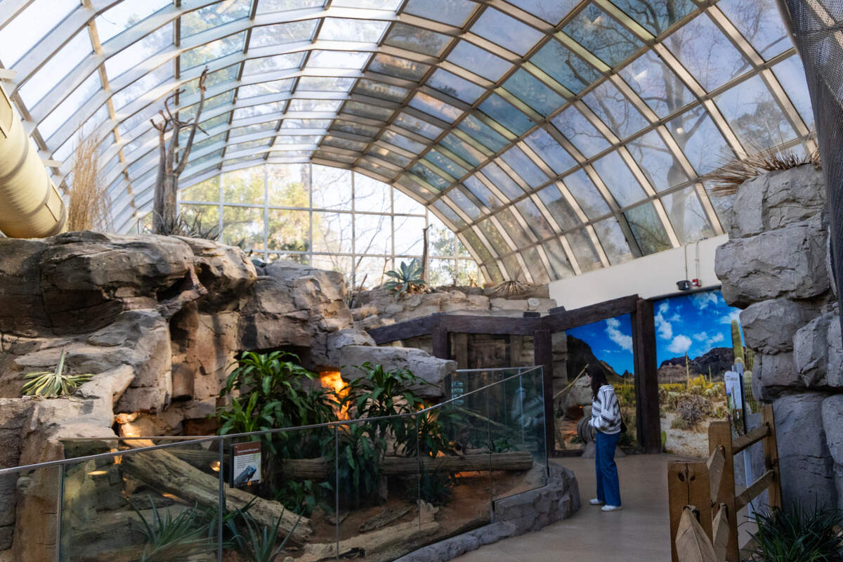 The new Aquarium and Reptile Conservation Center at The Riverbanks Zoo on Thursday, February 1, 2024.